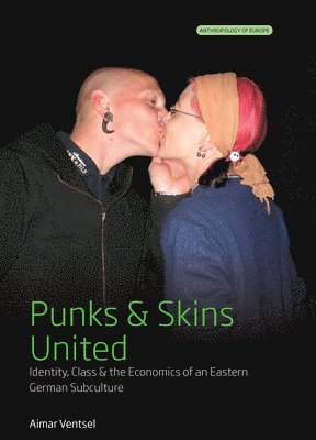 bokomslag Punks and Skins United