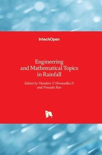 bokomslag Engineering and Mathematical Topics in Rainfall