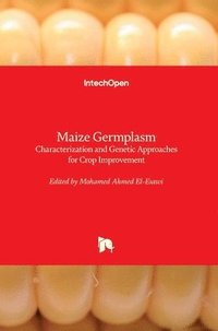 bokomslag Maize Germplasm