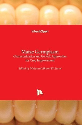 bokomslag Maize Germplasm