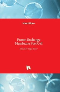 bokomslag Proton Exchange Membrane Fuel Cell