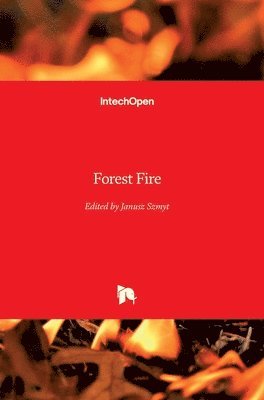 Forest Fire 1