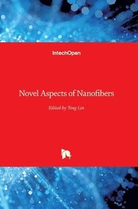 bokomslag Novel Aspects of Nanofibers