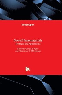 bokomslag Novel Nanomaterials