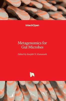 bokomslag Metagenomics for Gut Microbes