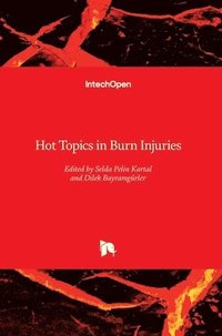 bokomslag Hot Topics in Burn Injuries