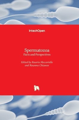 Spermatozoa 1