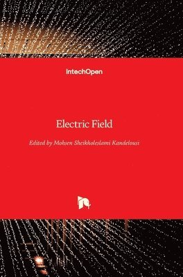 Electric Field 1