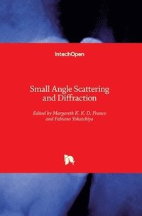 bokomslag Small Angle Scattering and Diffraction