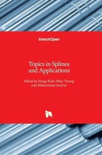 bokomslag Topics in Splines and Applications
