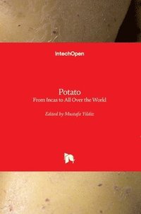 bokomslag Potato