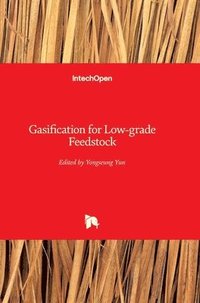 bokomslag Gasification for Low-grade Feedstock