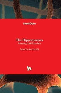bokomslag The Hippocampus