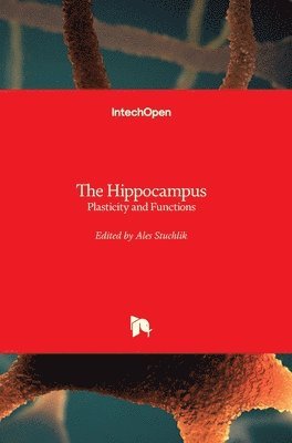 Ales Stuchlik - Hippocampus, Inbunden