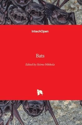 Bats 1