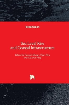 Yuanzhi Zhang, Yijun Hou, Xiaomei Yang - Sea Level Rise and Coastal Infrastructure, Inbunden