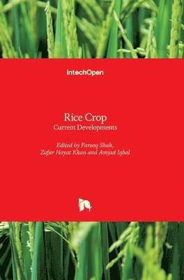 Farooq Shah, Zafar Hayat Khan, Amjad Iqbal, Zafar Khan - Rice Crop, Inbunden