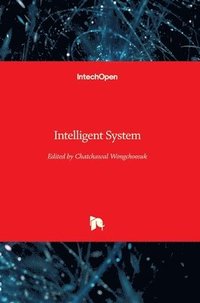 bokomslag Intelligent System