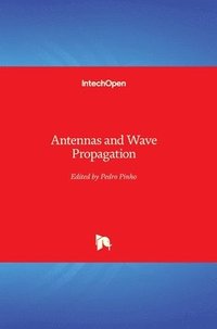 bokomslag Antennas and Wave Propagation