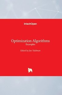 bokomslag Optimization Algorithms