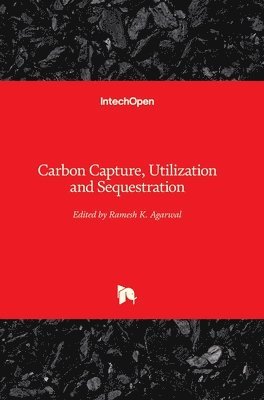 bokomslag Carbon Capture, Utilization and Sequestration