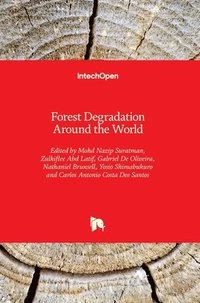 bokomslag Forest Degradation Around the World