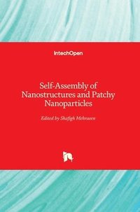 bokomslag Self-Assembly of Nanostructures and Patchy Nanoparticles