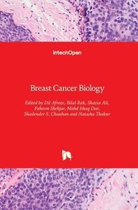 bokomslag Breast Cancer Biology