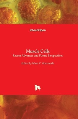 Muscle Cells 1