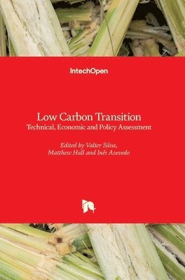 bokomslag Low Carbon Transition