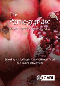bokomslag Pomegranate, The