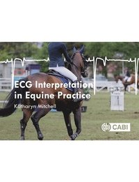 bokomslag ECG Interpretation in Equine Practice