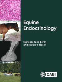 bokomslag Equine Endocrinology