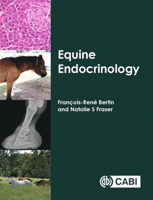 François-René Bertin, Natalie S Fraser - Equine Endocrinology, Häftad