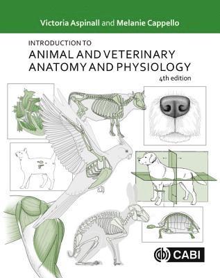 bokomslag Introduction to Animal and Veterinary Anatomy and Physiology