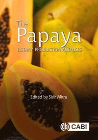 bokomslag Papaya, The