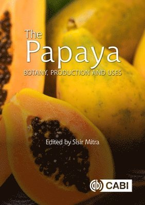 bokomslag Papaya, The