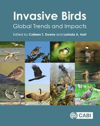 bokomslag Invasive Birds