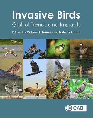 Invasive Birds 1