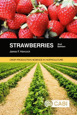 bokomslag Strawberries