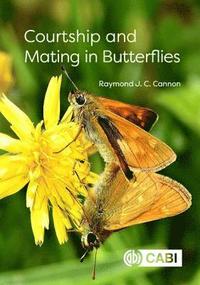 bokomslag Courtship and Mating in Butterflies