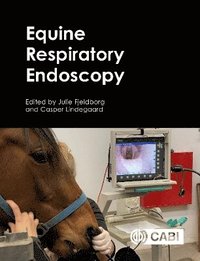 bokomslag Equine Respiratory Endoscopy