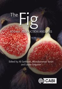 bokomslag The Fig