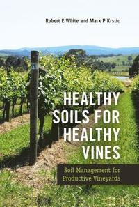 bokomslag Healthy Soils for Healthy Vines