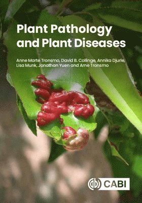Anne Marte Tronsmo, David B Collinge, Annika Djurle, Lisa Munk, Jonathan Yuen, Arne Tronsmo - Plant Pathology and Plant Diseases, Häftad