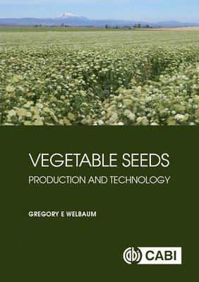 Vegetable Seeds 1