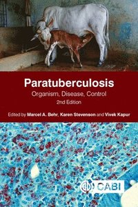 bokomslag Paratuberculosis