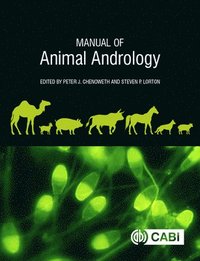 bokomslag Manual of Animal Andrology
