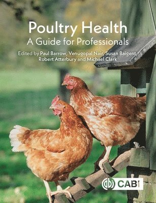 bokomslag Poultry Health
