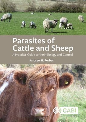 bokomslag Parasites of Cattle and Sheep